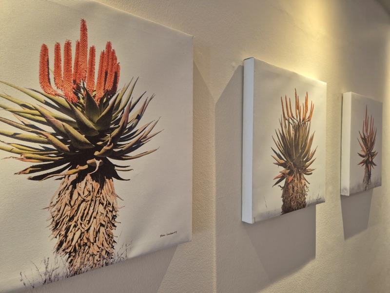 115 De Waterkant Piazza - living area art