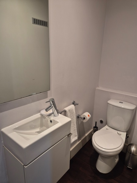 77 Loader Street - washroom