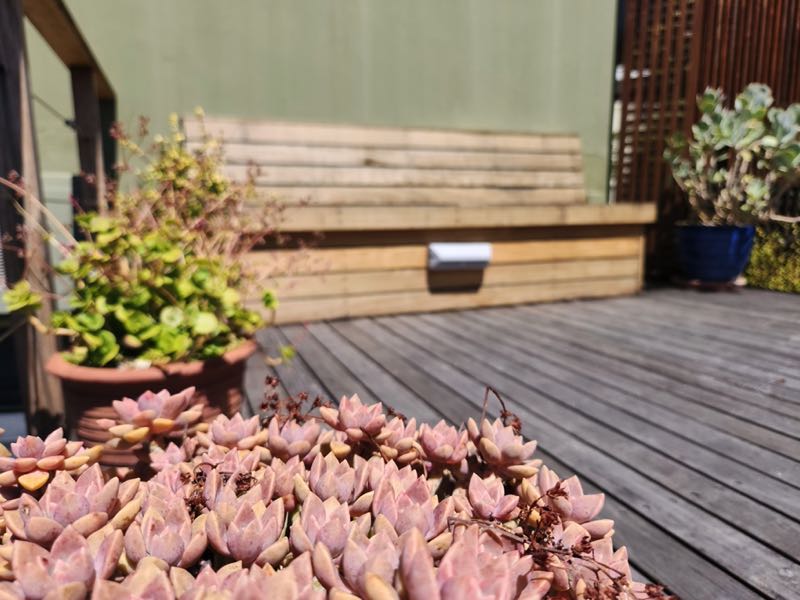 40 Napier Street - roof deck & bench