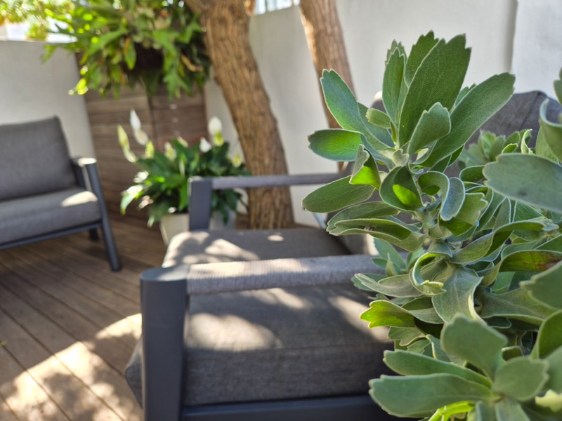 98 Waterkant Street - courtyard