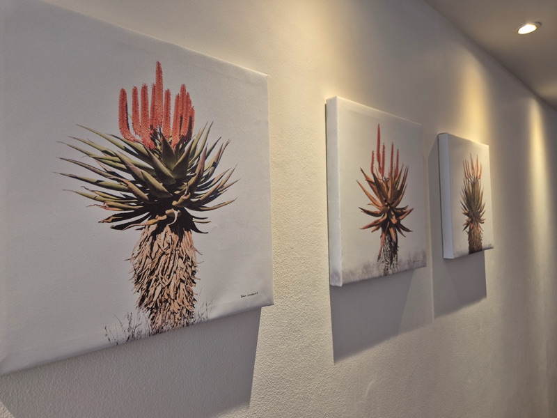 115 De Waterkant Piazza - living area artwork