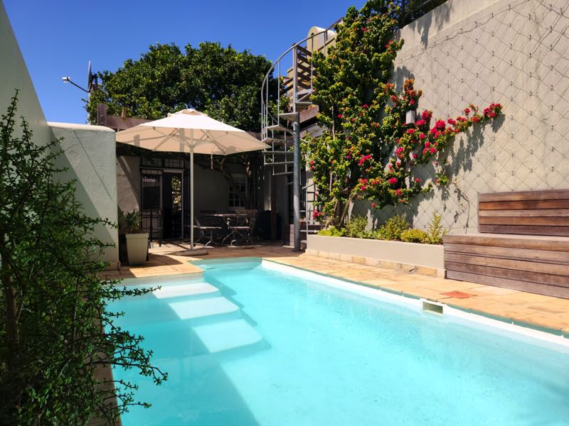 40 Napier Street - pool & terrace
