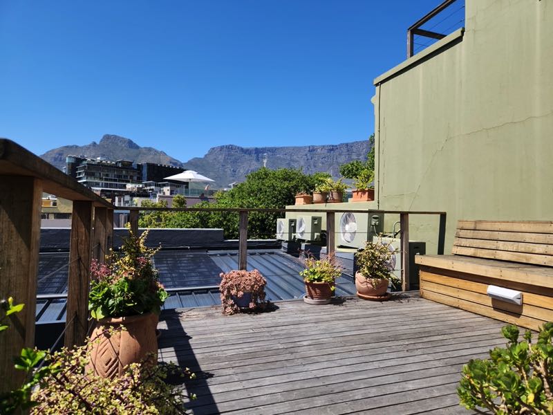 40 Napier Street - roof deck view