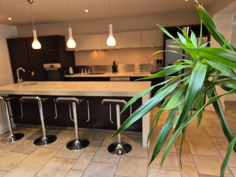 7 Bayview Terrace - courtyard and kitchen