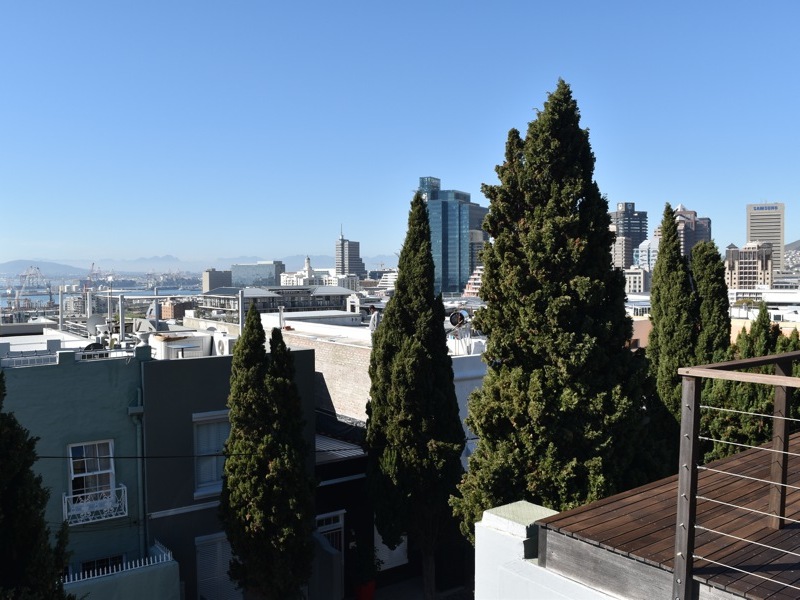 77 Loader Street - roof deck views