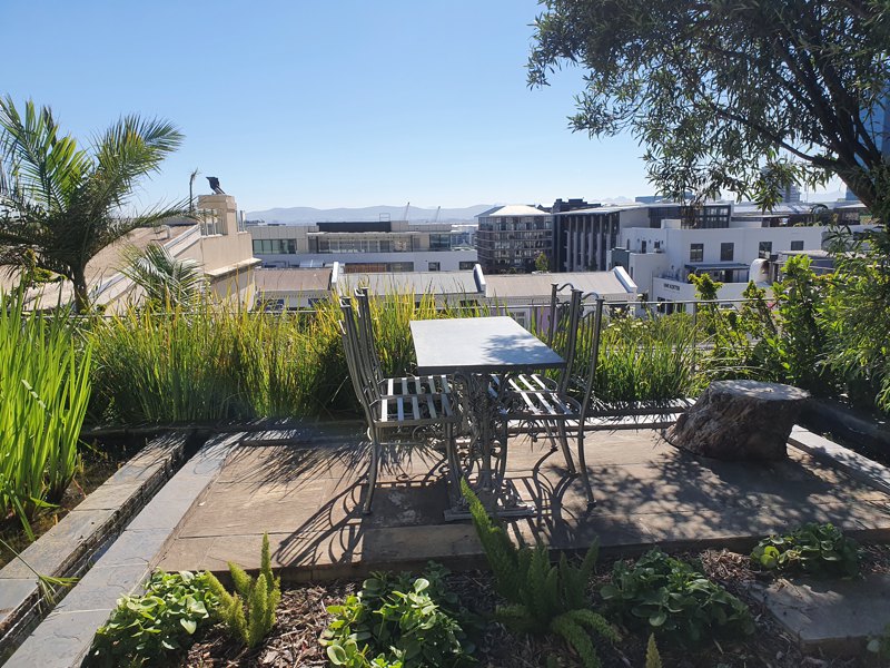 24 Loader Street - garden with pond