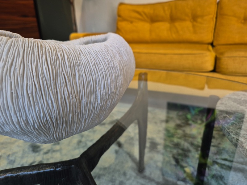98 Waterkant Street - living room