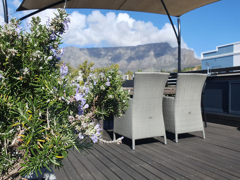 10 Loader Street - roof deck
