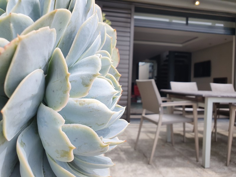 2 Bayview Terrace - garden