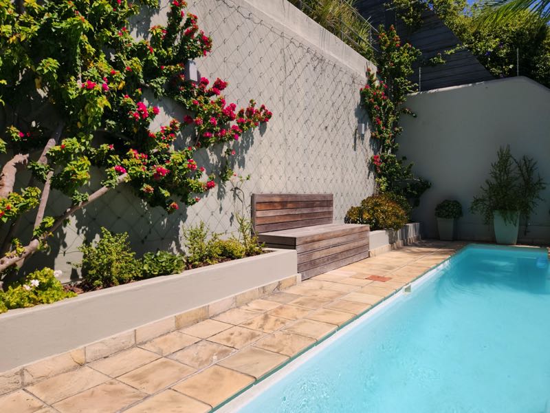 40 Napier Street - plunge pool