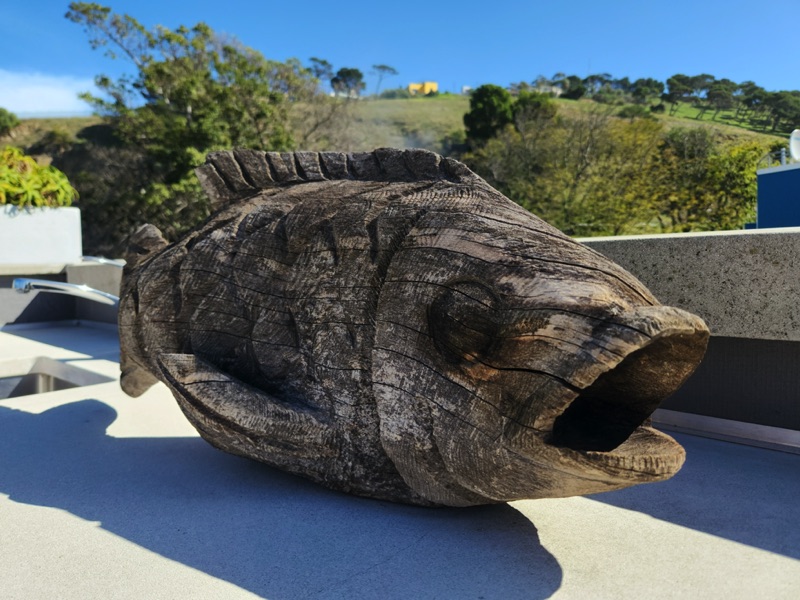 9b Loader Street - roof deck fish