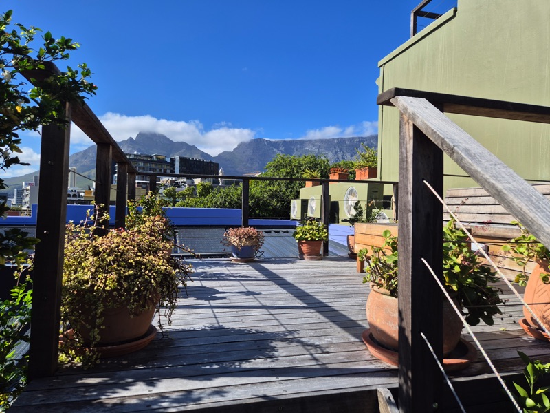 40 Napier Street - roof deck
