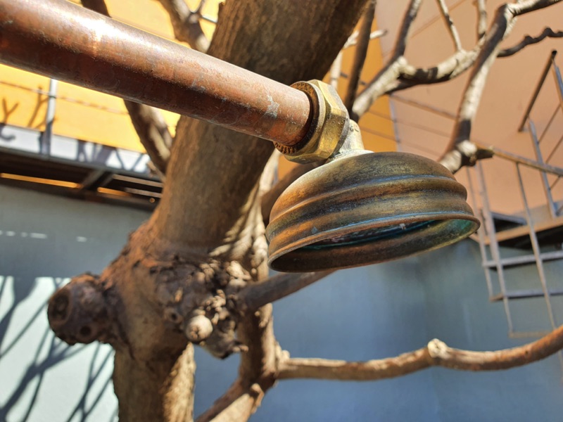 165 Waterkant Street - Courtyard & outdoor shower