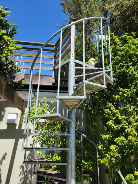 40 Napier Street - spiral steps to roofdeck