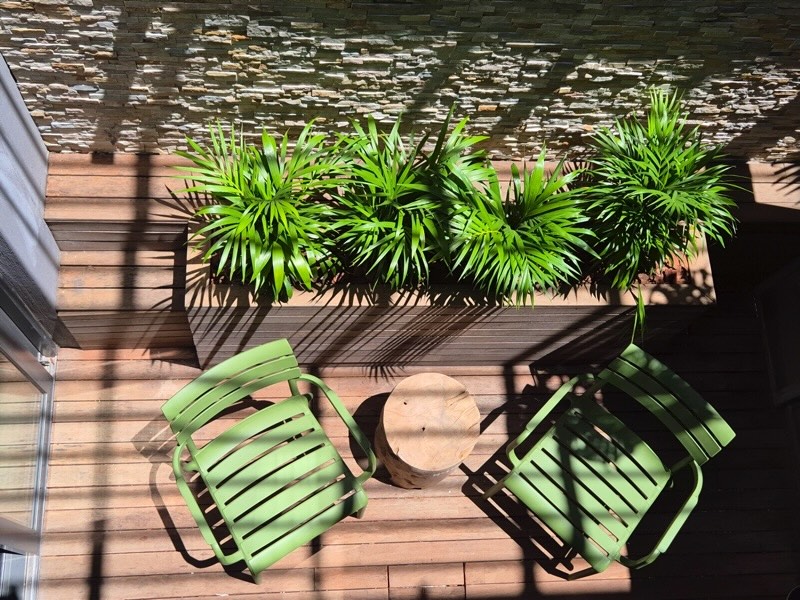 9a Loader Street - Bedroom 1 courtyard