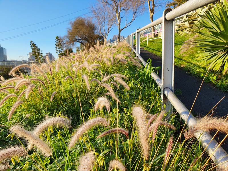 7 Bayview Terrace - Bayview walkway