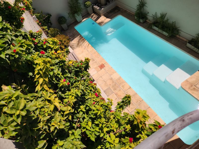 40 Napier Street - pool & terrace