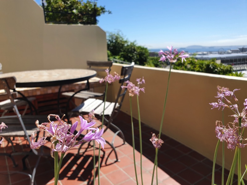 70 Loader - ground floor terrace