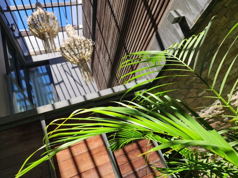 9b Loader Street - bedroom 2 courtyard