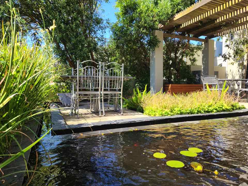 24 Loader Street - garden with pond