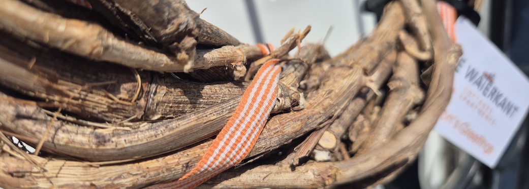 De Waterkant Cottages & Apartments - Festive Doors