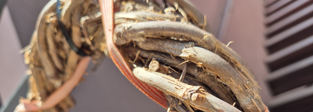 De Waterkant Cottages & Apartments - Festive Doors