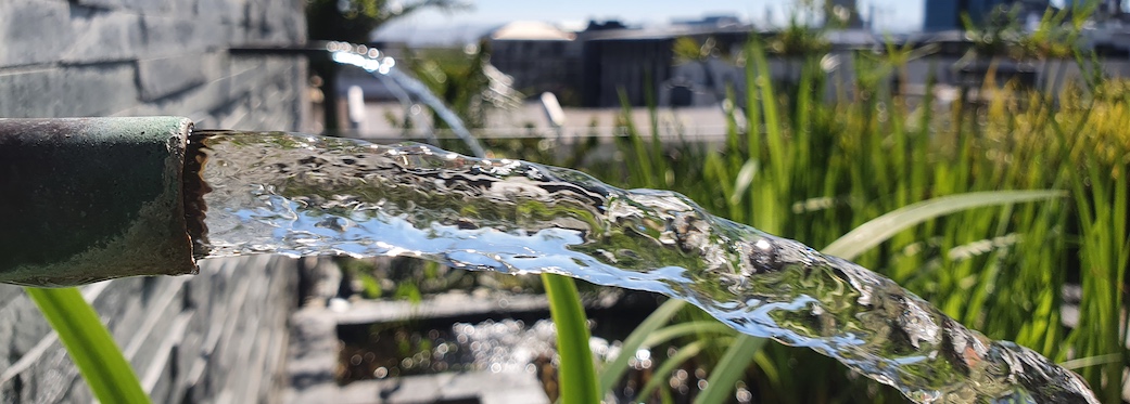 24 Loader Street - pond fountain
