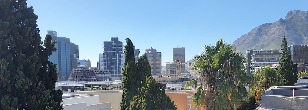 75 Loader Street - roof deck views