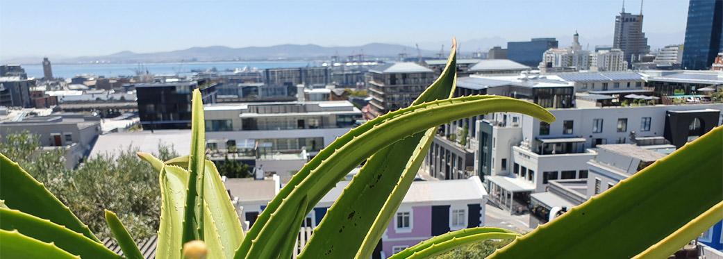 24 Loader Street - roof views