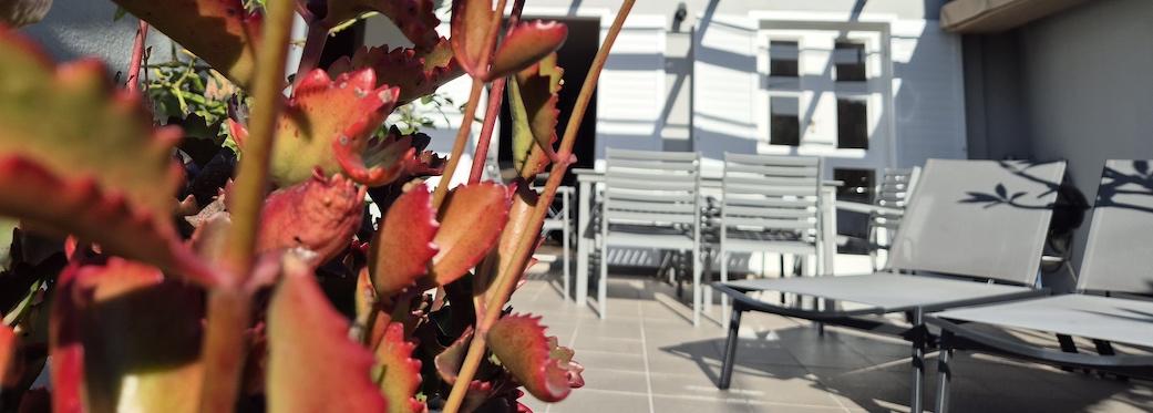 115 De Waterkant Piazza - terrace