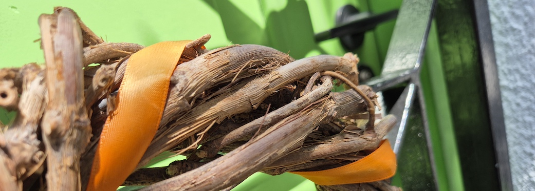 De Waterkant Cottages & Apartments - Festive Doors