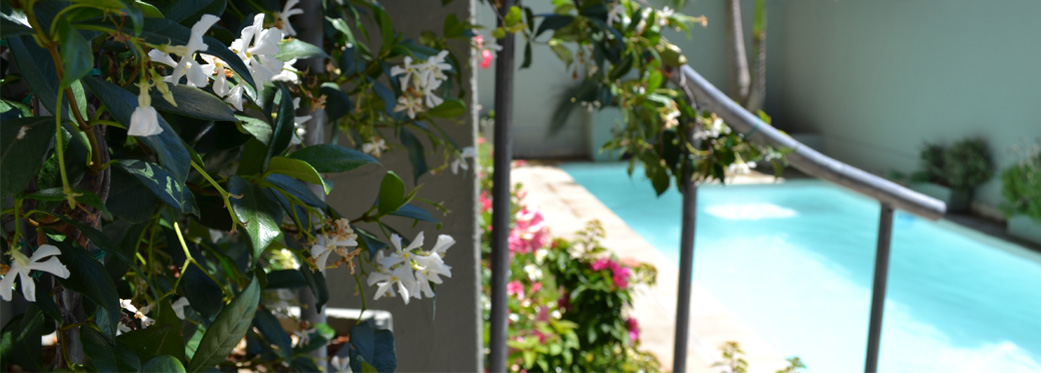 40 Napier Street - plants & spiral stairs