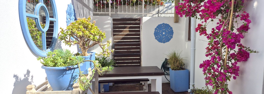 19 Jarvis Street - courtyard