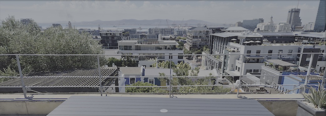 24 Loader Street - roof views