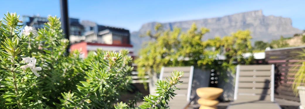 10 Loader Street - roof deck & views