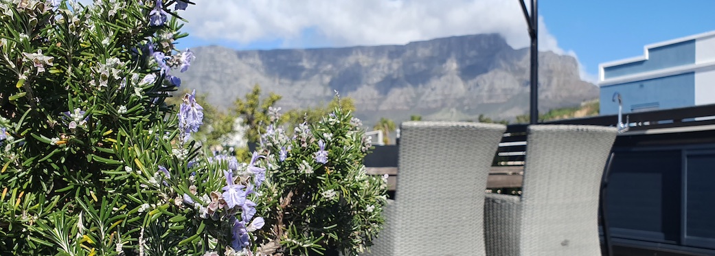 10 Loader Street - roof deck & views