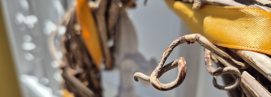 De Waterkant Cottages & Apartments - Festive Doors