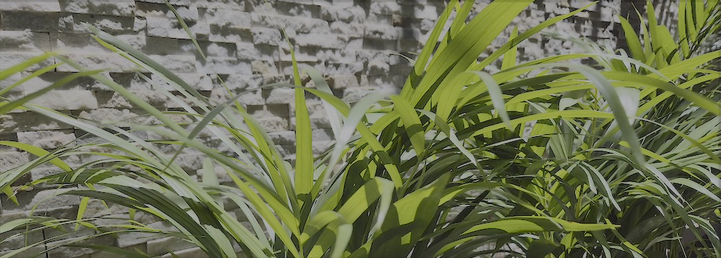 9a Loader Street - Courtyard