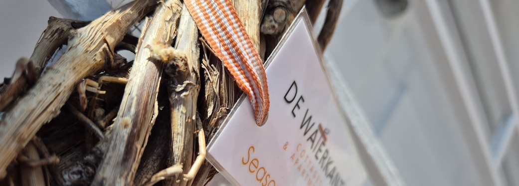 De Waterkant Cottages & Apartments - Festive Doors