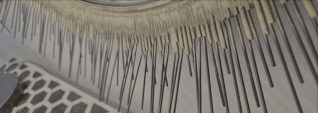 9a Loader Street - Bedroom 1