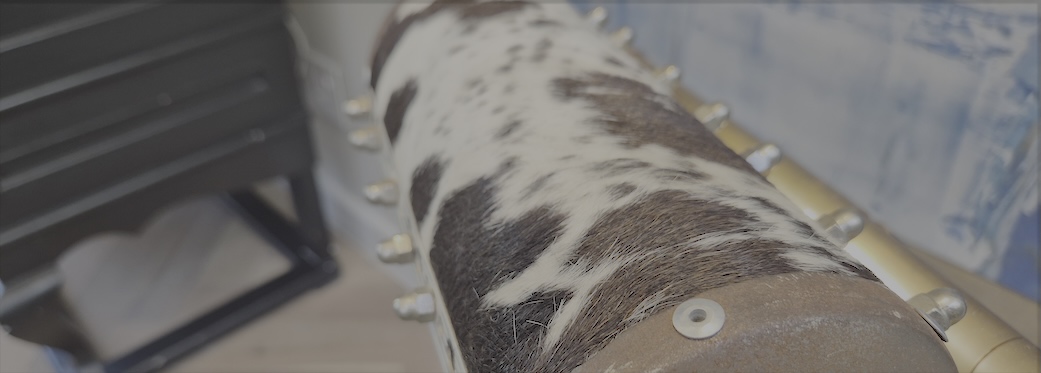 9a Loader Street - Living area